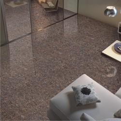 Alluring Pattern Double Charged Vitrified Tiles