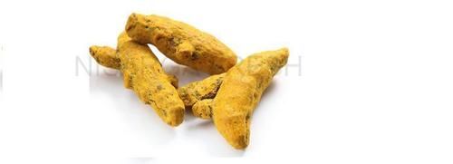 Indian Turmeric Finger