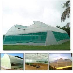 Green House Shades