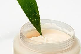 Aloe Vera Cream - Premium Quality, Moisturizing and Re-Vitalizing Formula | Nourishes Skin with Natural Proteins, Antioxidants, Vitamins E & C, Stimulates Cellular Circulation and Reduces Wrinkles