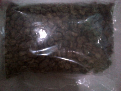 Coffee Beans By PT.Sari Bumi Bakau