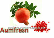 Freeze Dried Pomegranate Kernels