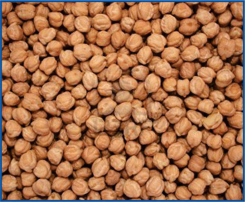 Chick Peas