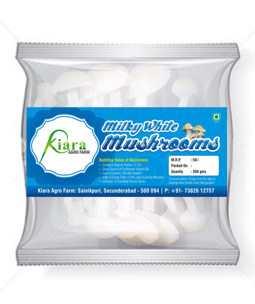 Milky White Mushrooms