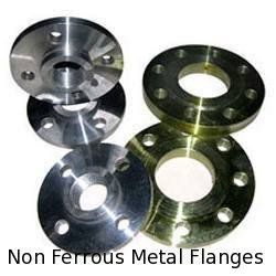 Non Ferrous Metal Flanges Application: Endurance