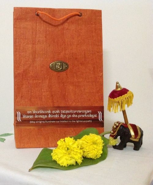 Beautiful Orange Color Paper Bags