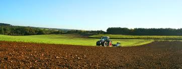 Soil Management Services Provider