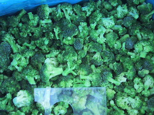 Frozen Broccoli