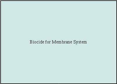 Biocide For Membrane System