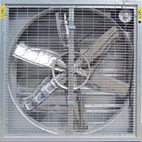 Heavy Hammer Exhaust Fan for Poultry Industry and Greenhouse