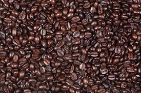 Robusta Coffee S18