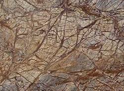 Forest Brown Marble - Superior Grade Natural Stone | Elegant Designs, Eye-Catchy Look, Weather Resistant