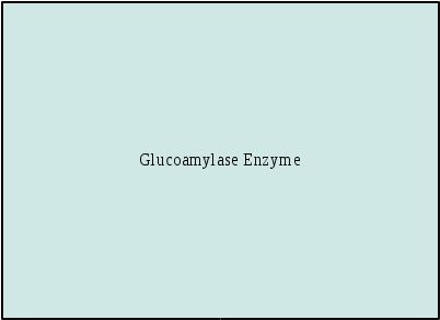 Glucoamylase Enzyme