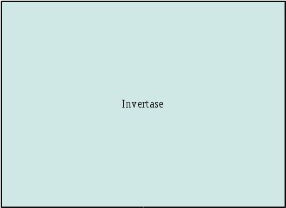 Invertase (Sucrase)