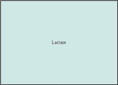 Lactase