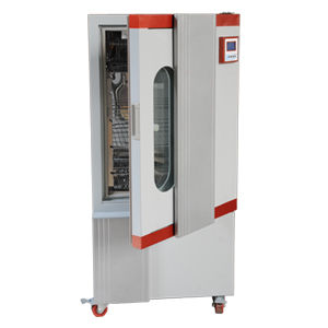 Mould Incubator (BMJ-250)