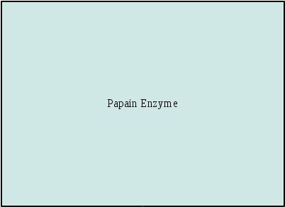 Papain Enzyme