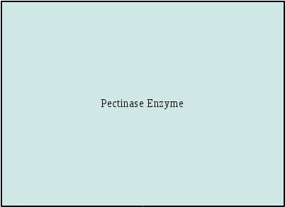 Pectinase Enzyme