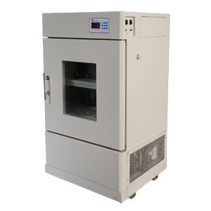 Vertical Shaker Incubator (Bsd-yx(f)2200)