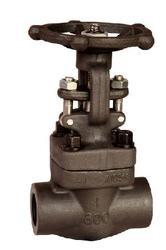 Mirror Polish Globe Valve