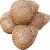 Fresh Organic Coconuts