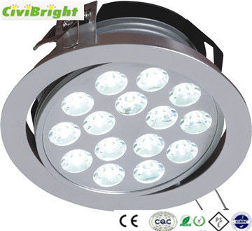 LED Ceiling Light