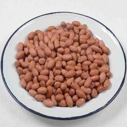 Groundnut Seeds - Premium Quality, Nutrient-Rich Flavorful Delights for Global Markets