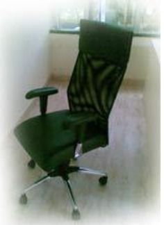 Office Manager Revolving Chair