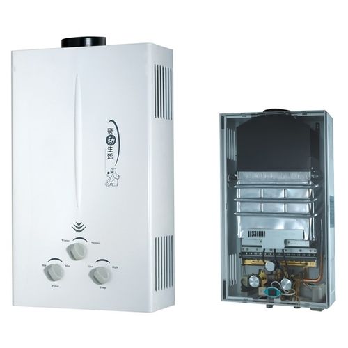 Flue Type Gas Water Heater (Jsd20-Xy) Application: High Frequency Divece