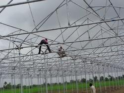 Greenhouse Agriculture Setup