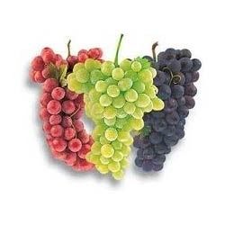 Table Grapes Grade: Technical Grade