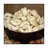 Cashew Nut