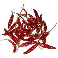 Dried Red Chili