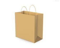 Brown Paper Bags