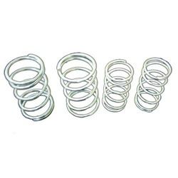 Valve Spring