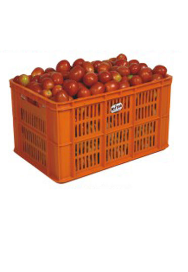 Plastic Tomato Crate (Model 2021 S)