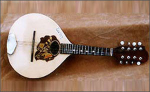 Rose Wood Mandolin