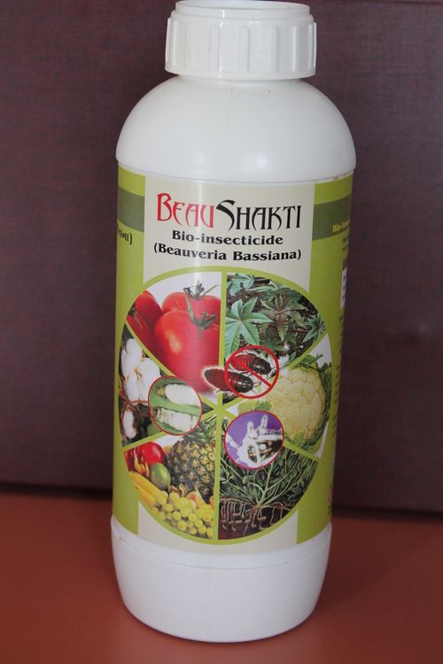 Beauveria Bassiana - 2 X 10^8 cfu/ml | Effective Biological Pest Control for Larval and Sucking Insects in Diverse Crops