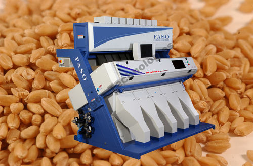 Wheat Sorting Machine