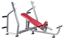 Incline Bench Press