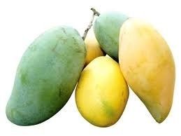 Fresh Mango