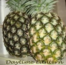 Fresh Pineapple