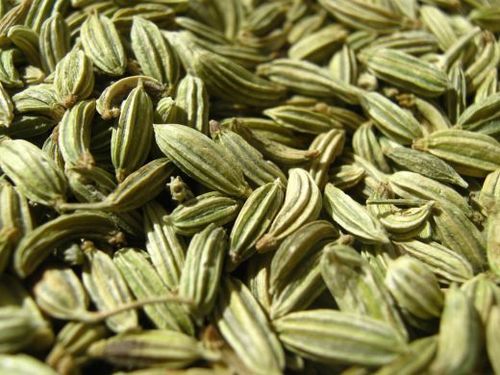 Fennel Seeds