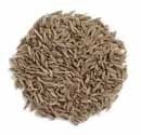 Jeera (Cumin)