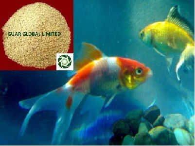 Stainless Steel Guar Korma For Fish Meal