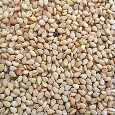 Natural Sesame Seeds