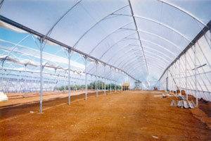 Construction Net - Durable UV-Resistant Material, Versatile Sizes Available