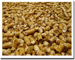 Biomass Pellet Fuel