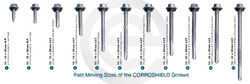 Corroshields Screws