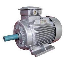 Electricals Motor